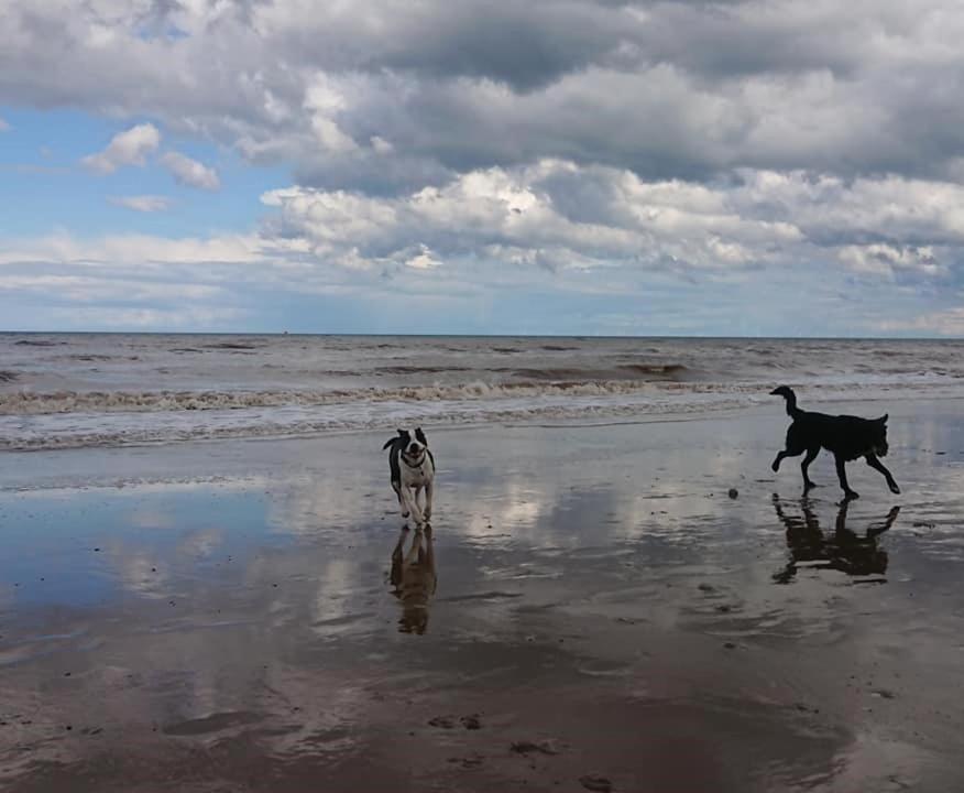 Bridlington'S Bolt Hole Chalet מראה חיצוני תמונה