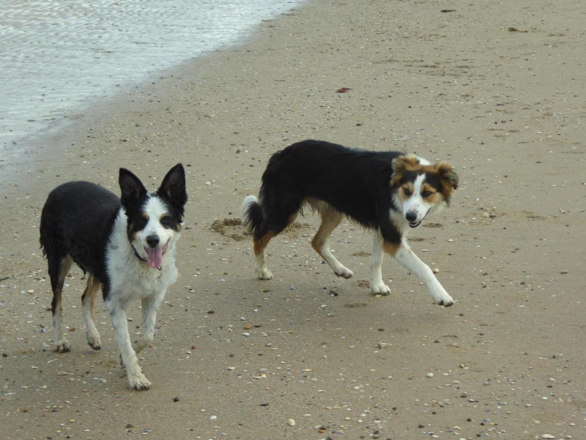 Bridlington'S Bolt Hole Chalet מראה חיצוני תמונה